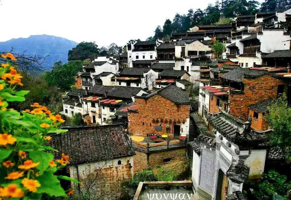 wechat_upload15891607295eb8ab19af7c0