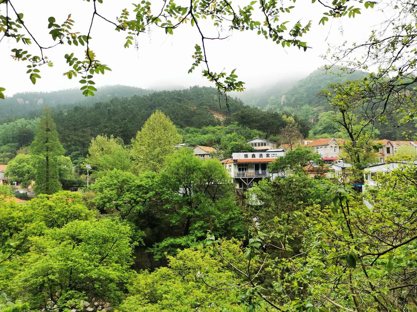 微信图片_202005112344273.jpg