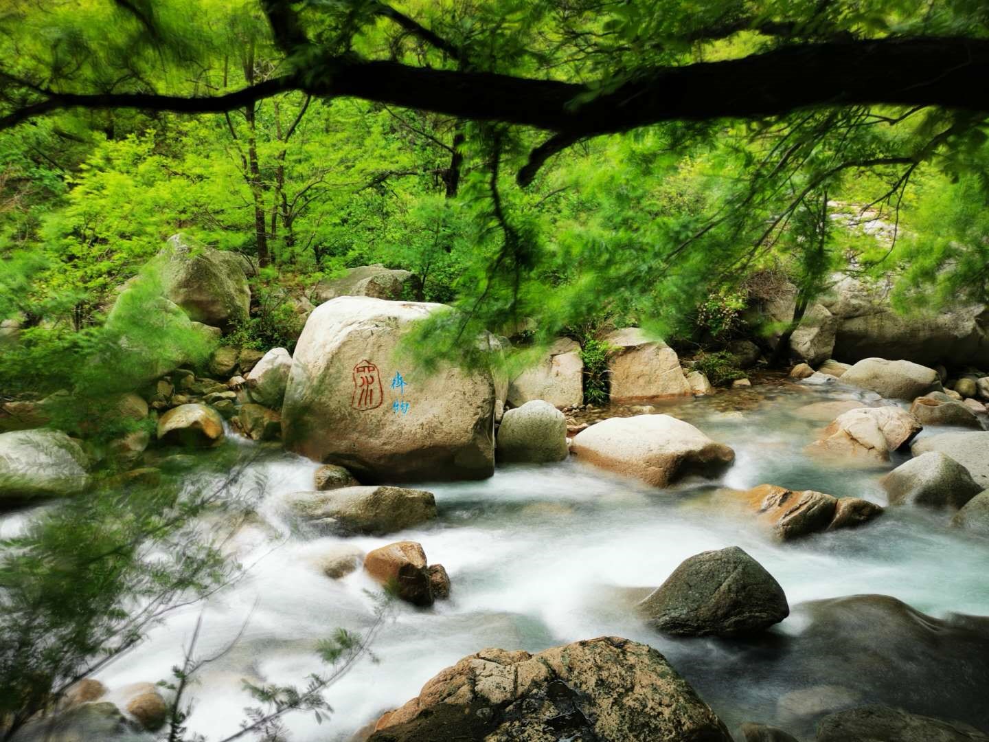 微信图片_2020051123442711.jpg
