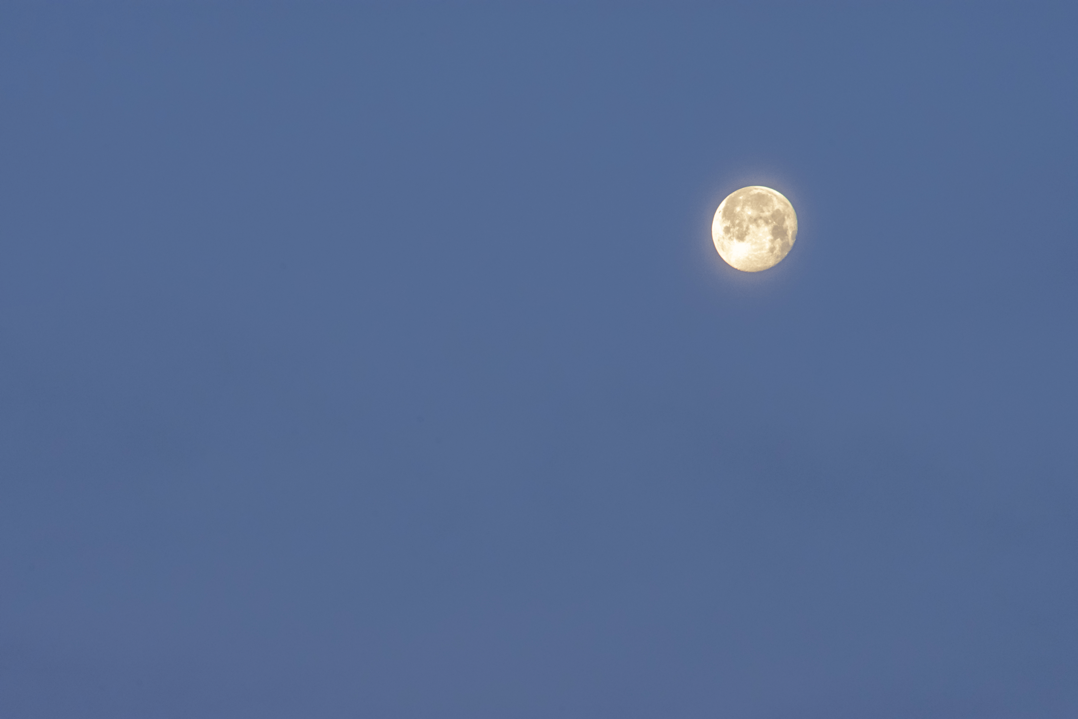 DSC_0385.gif