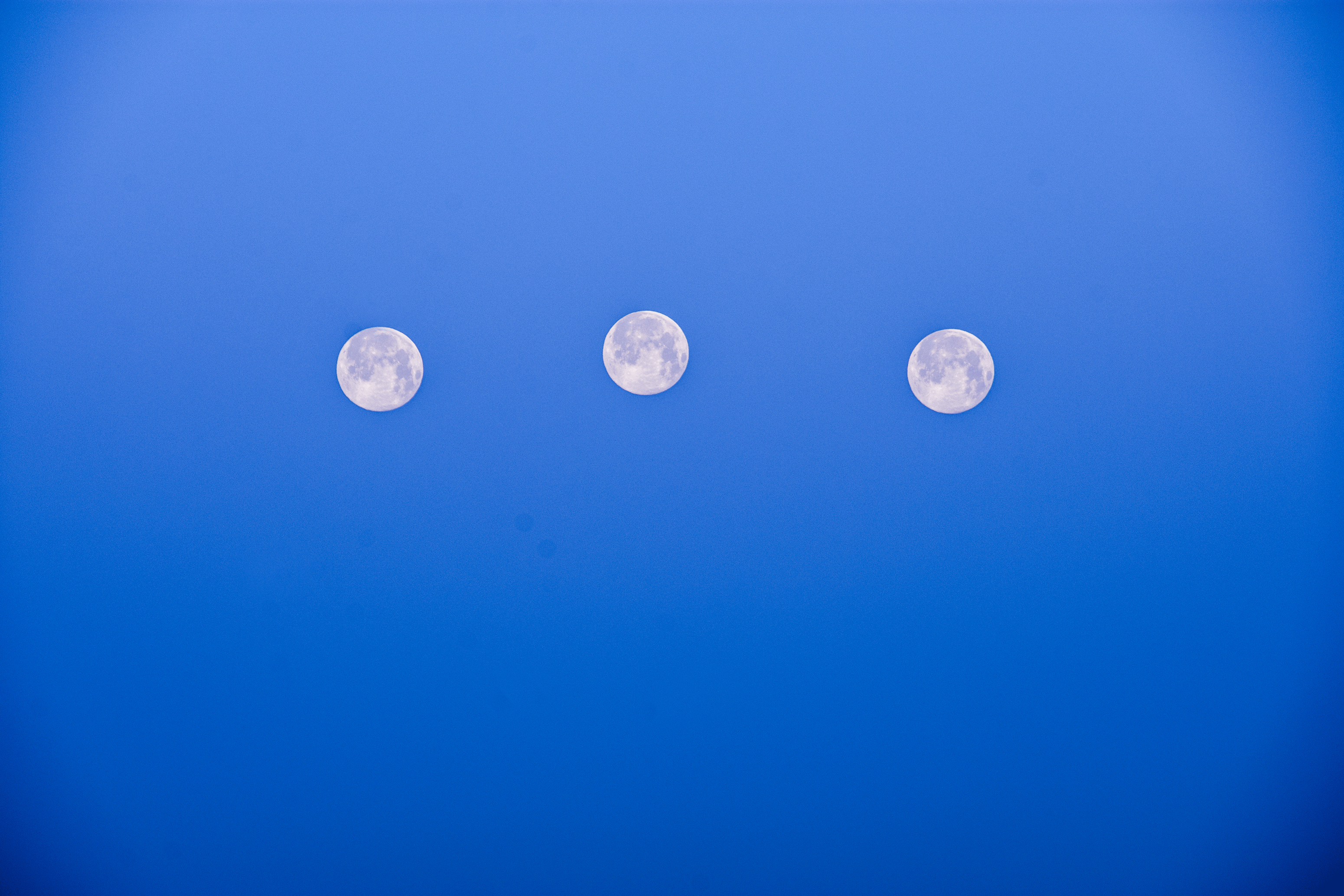 DSC_0580.gif