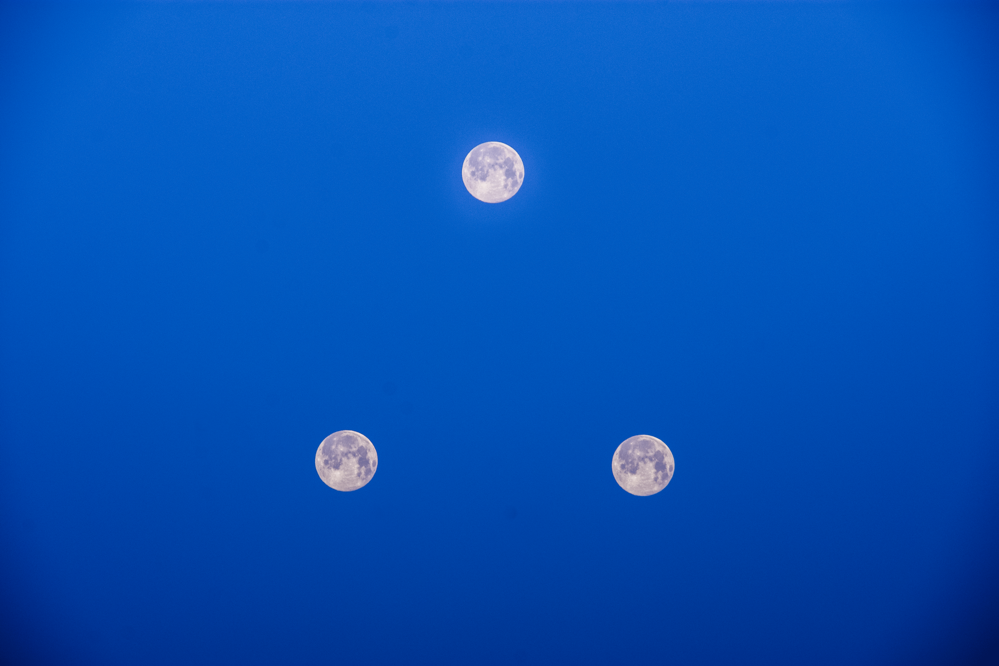 DSC_0578.gif