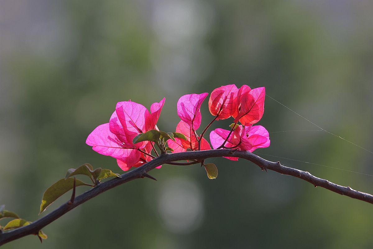IMG_1380_副本.jpg