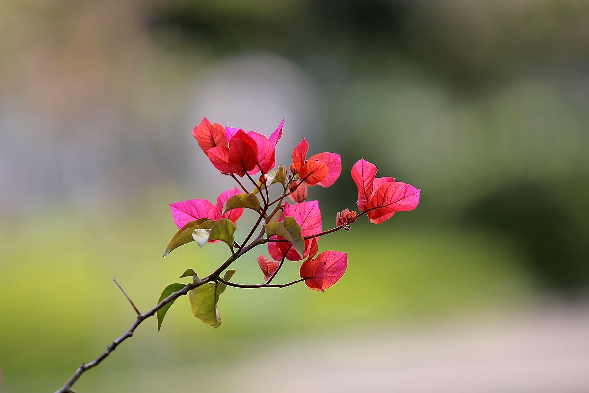 IMG_0703_副本.jpg