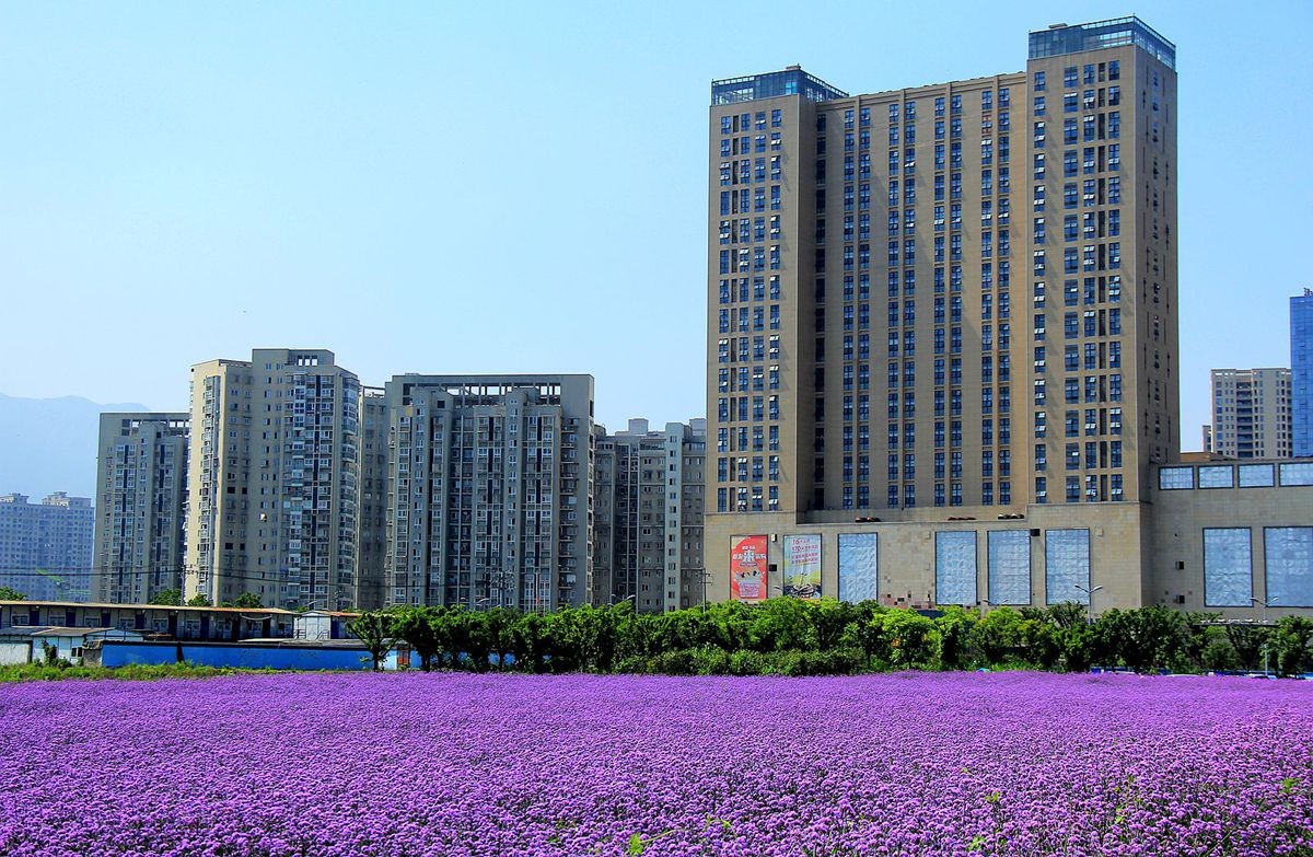 IMG_1702_副本_副本.jpg