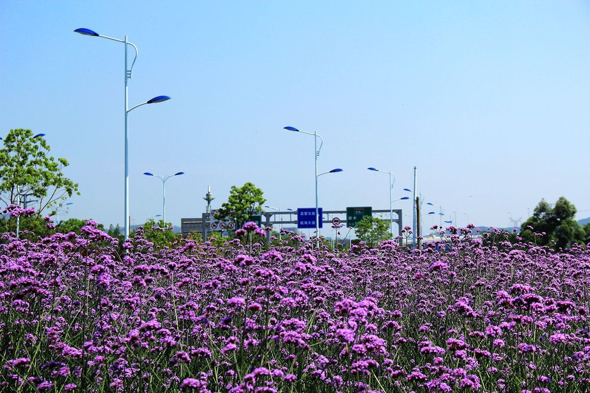 IMG_1716_副本_副本.jpg