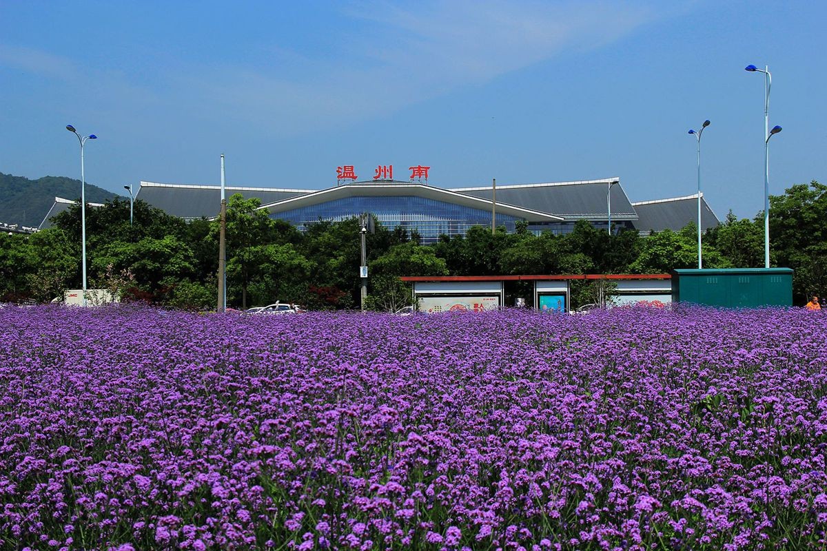 IMG_1741_副本_副本.jpg