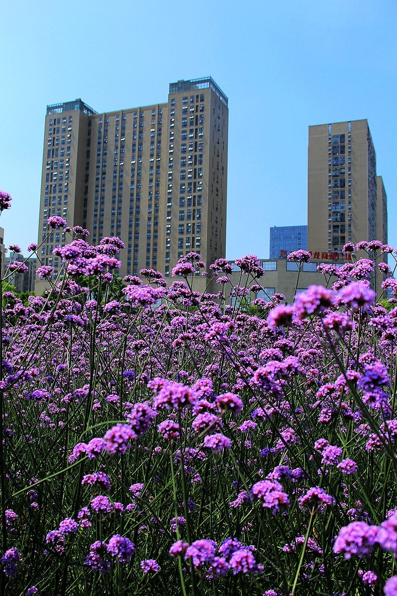 IMG_1722_副本.jpg