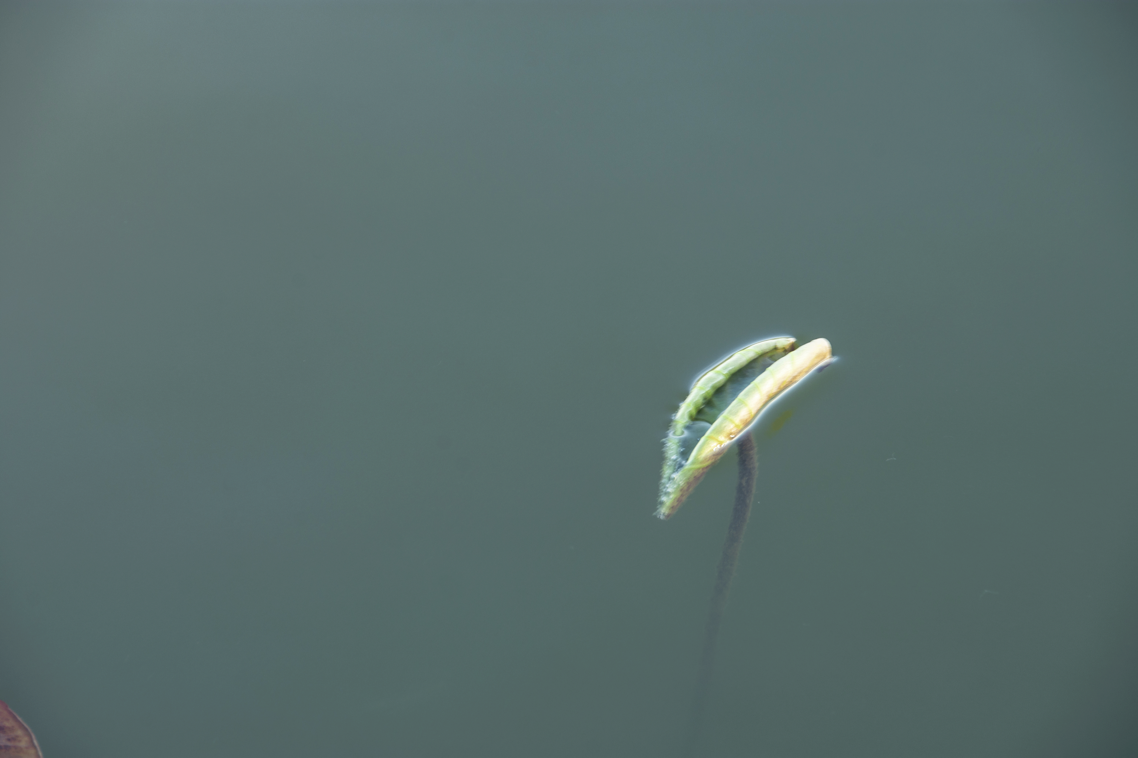 _2201234.gif