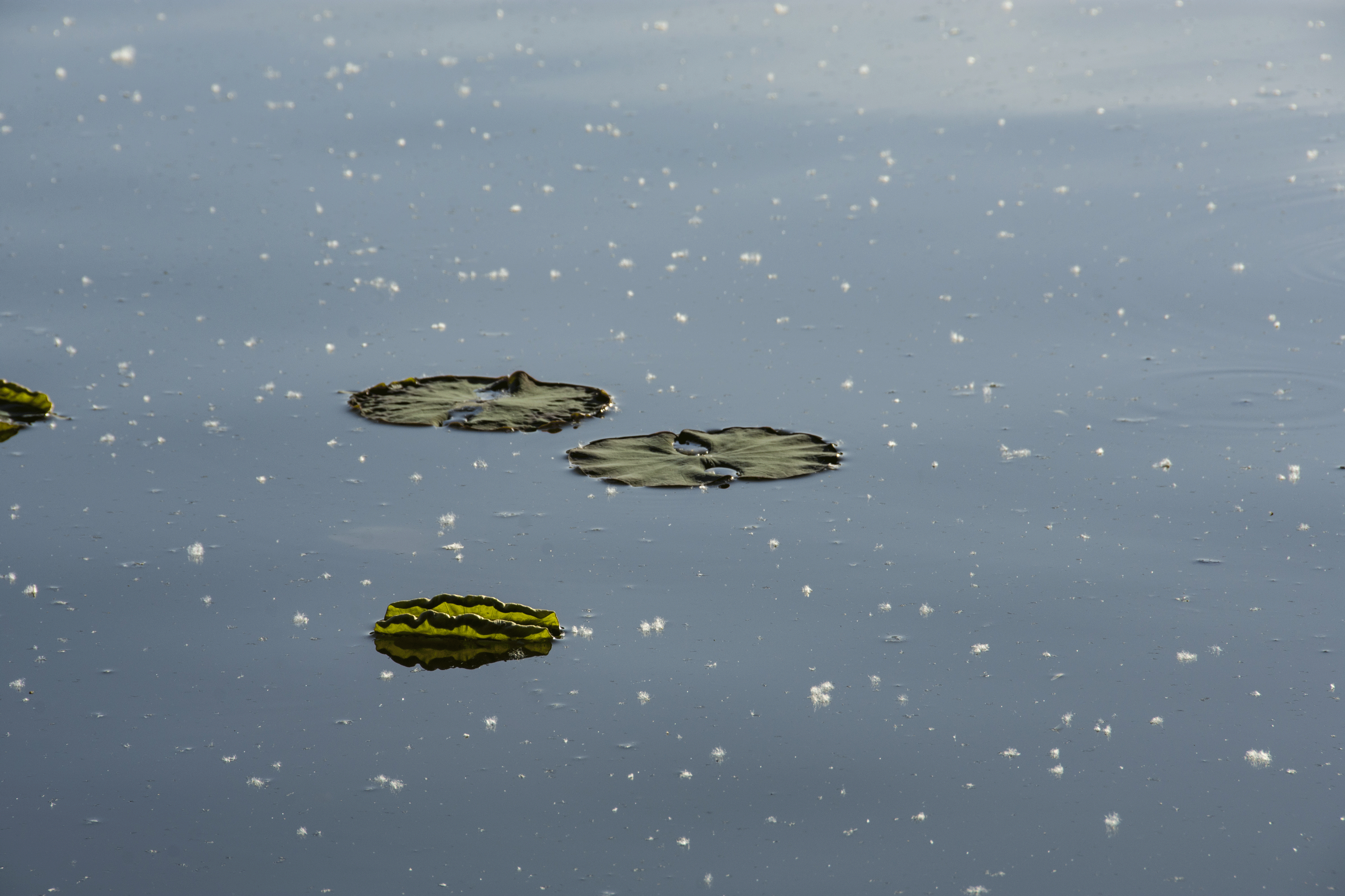 _2201228.gif