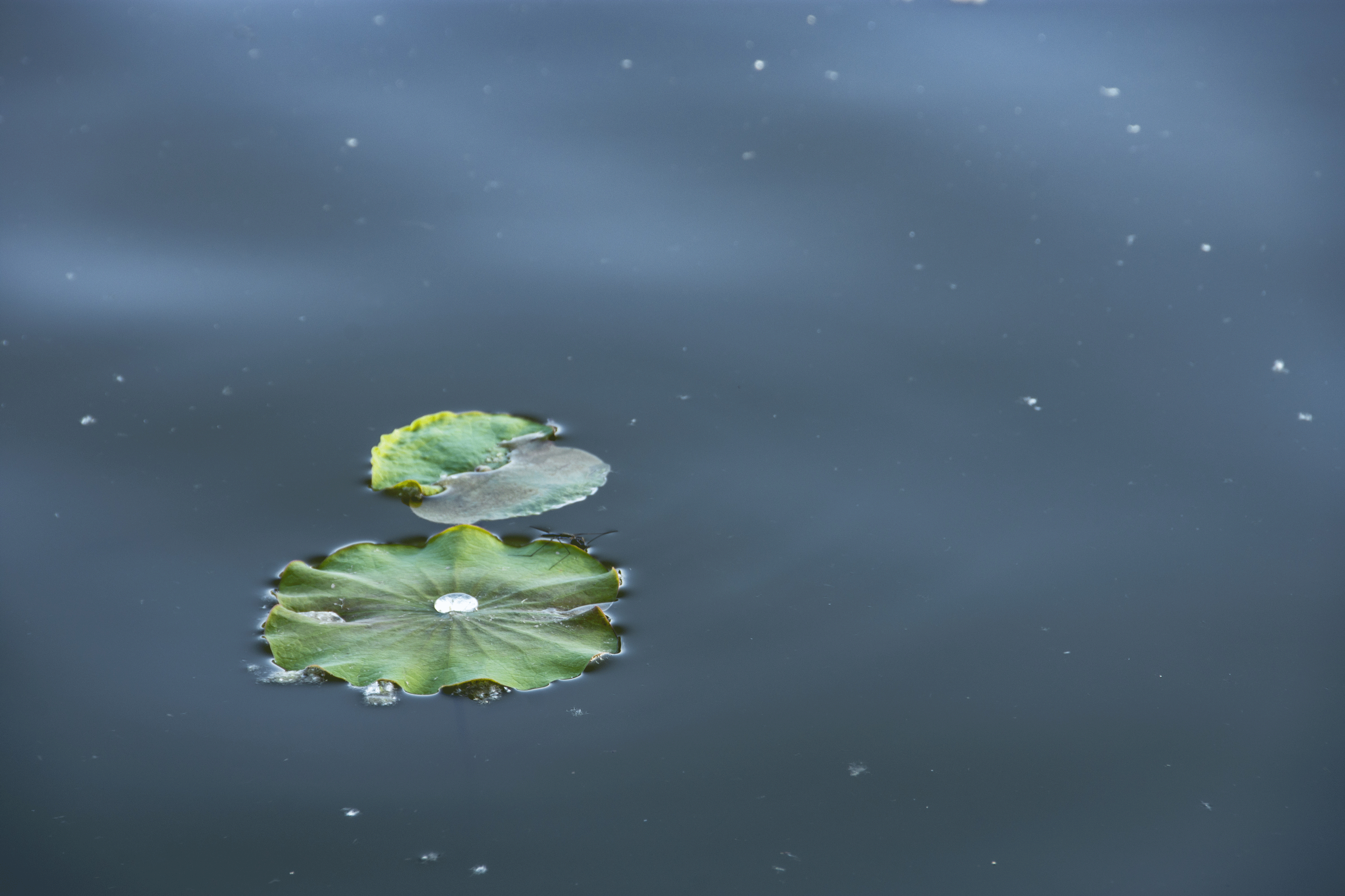 _2201235.gif