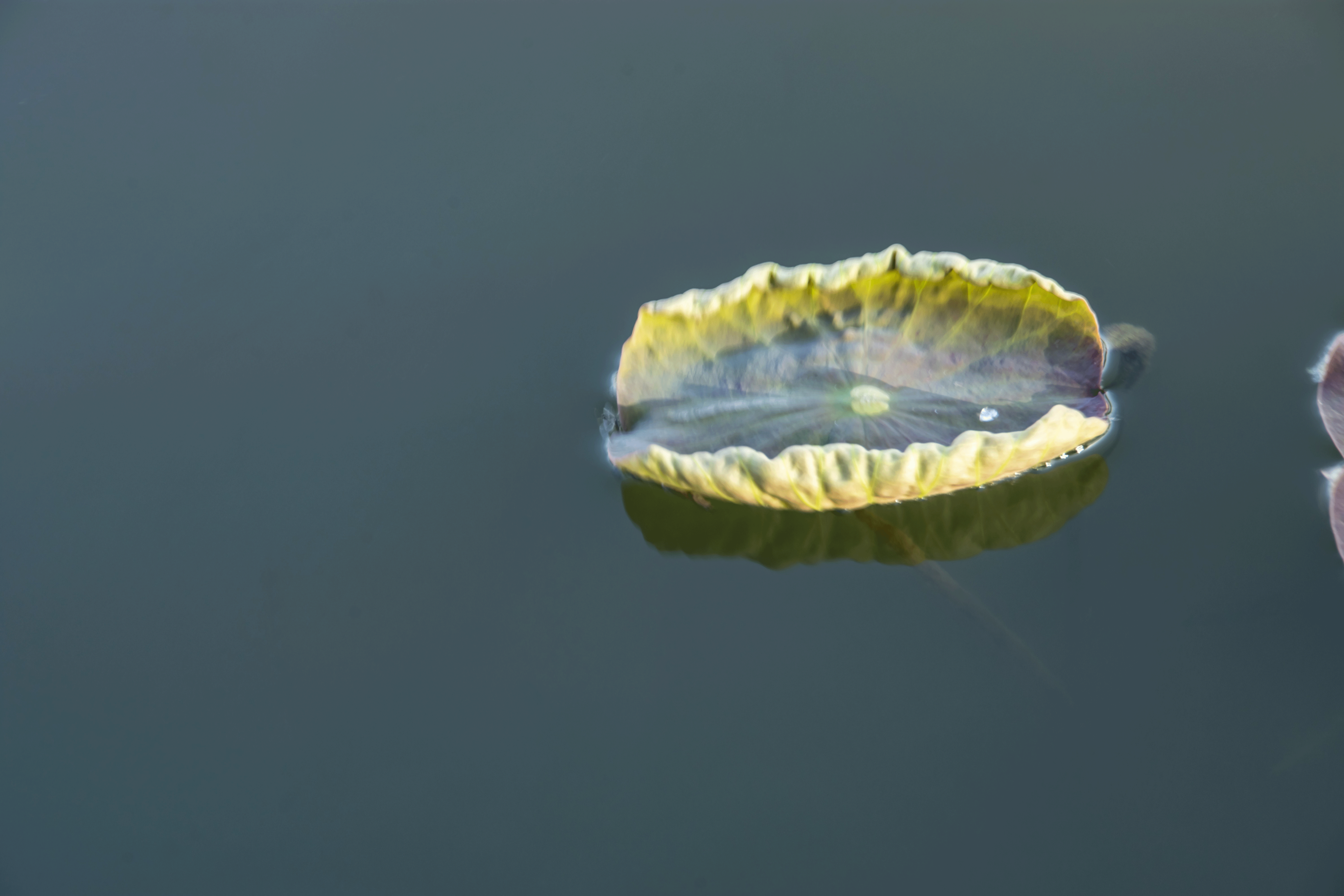 _2201232.gif