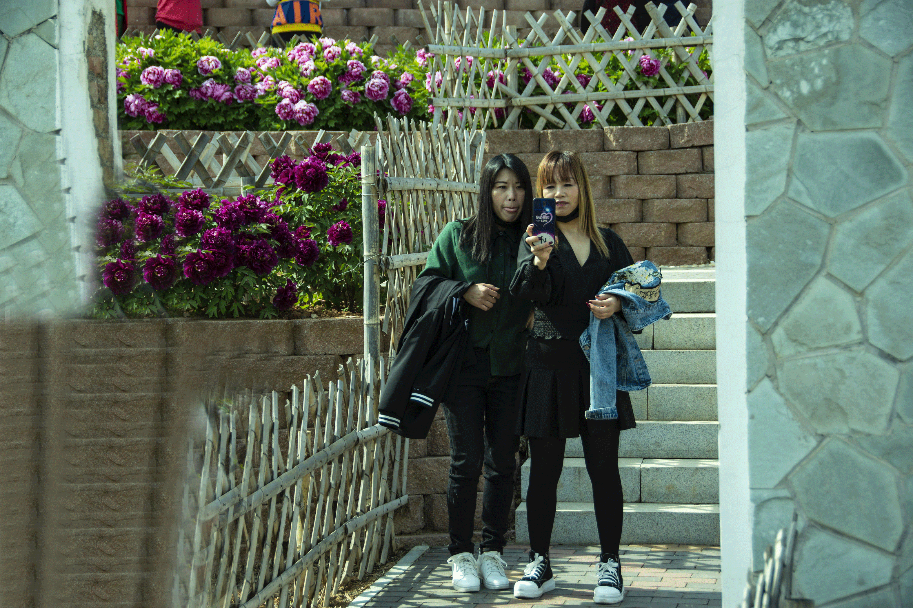 202_0851.gif