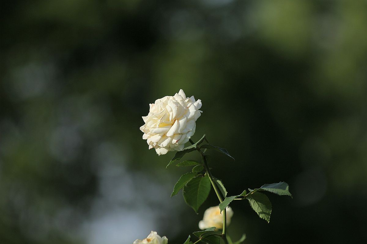 IMG_1942_副本.jpg