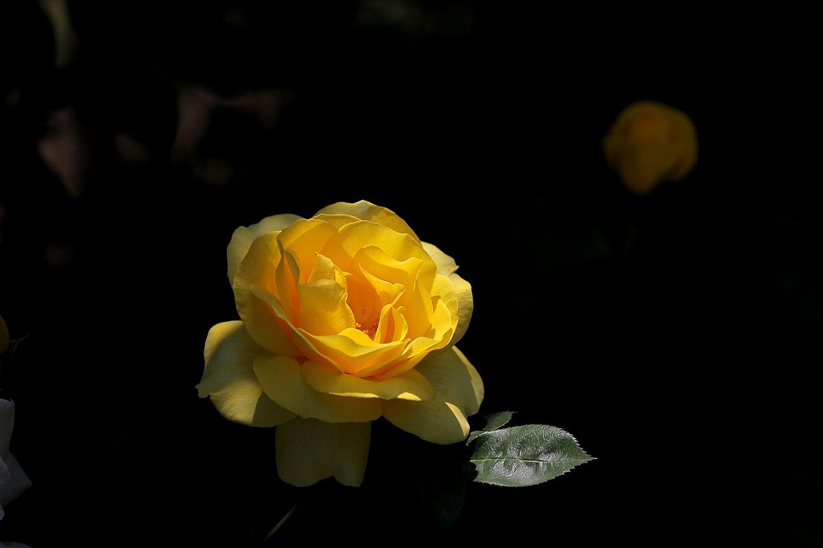 IMG_1482_副本.jpg