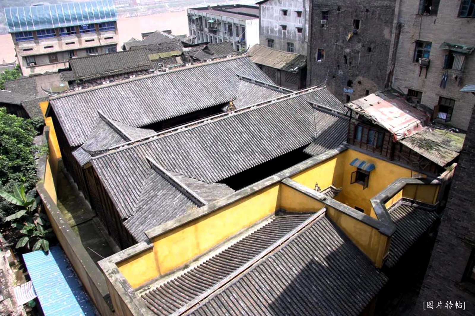 微信图片_20200521150223.jpg