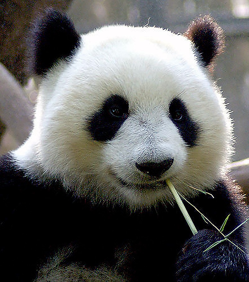 5020e66f02aa3aaec7831aa62_副本.jpg
