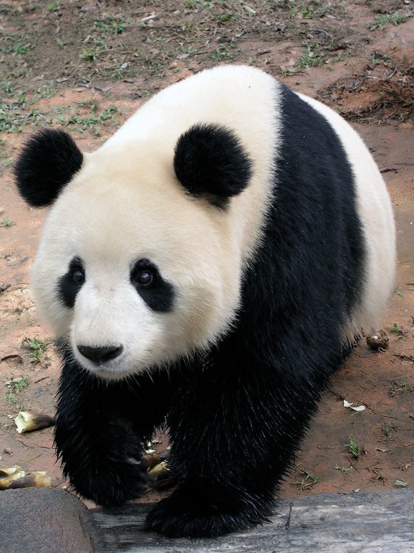 4200861612137221_2_副本.jpg