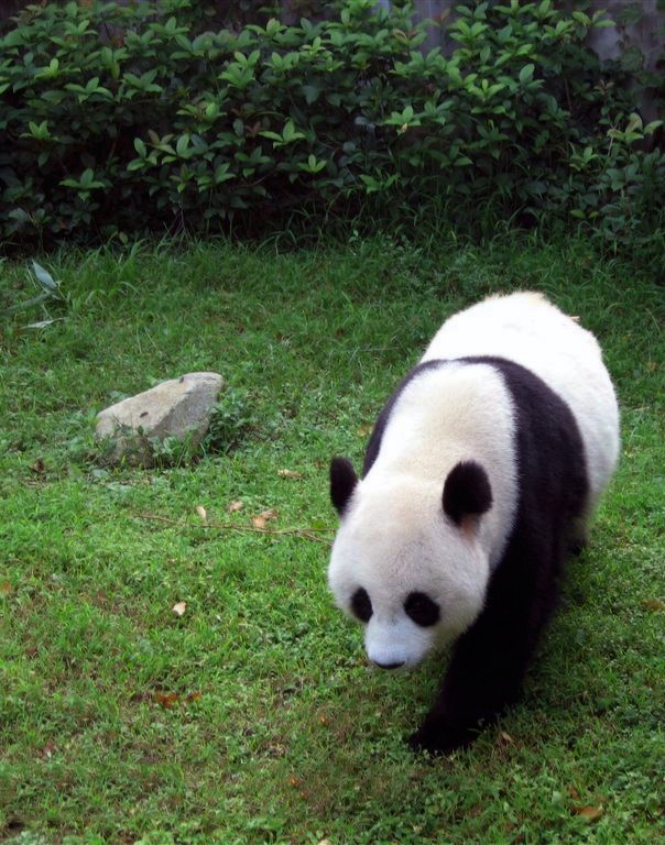 12ooopen_201211040136020095_副本.jpg