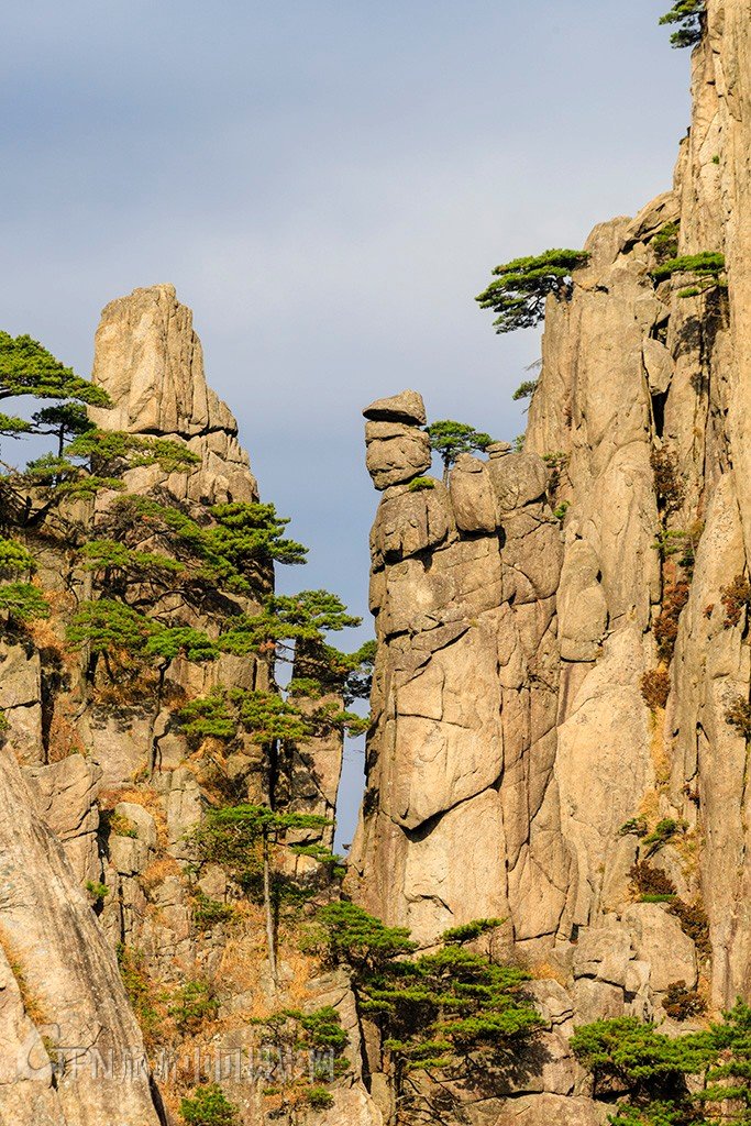 老僧采药 黄山图片