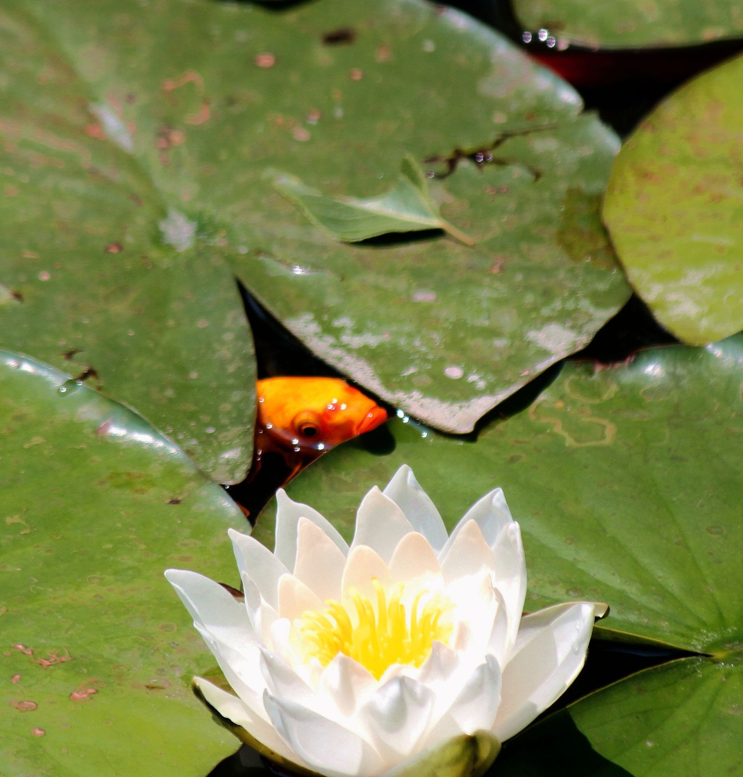 IMG_2843_副本.jpg