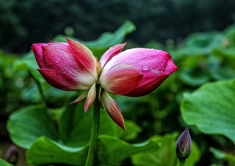 15IMG_9305_副本_副本.jpg