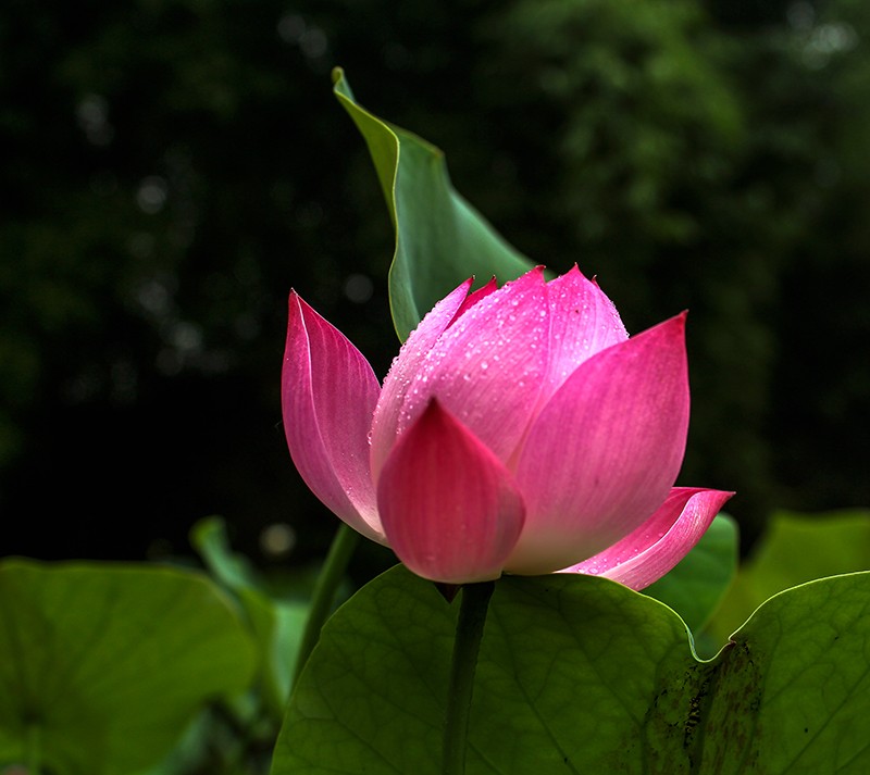 13IMG_9327_副本.jpg