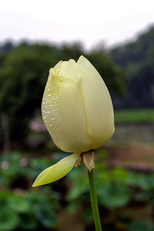 12IMG_9324_副本.jpg