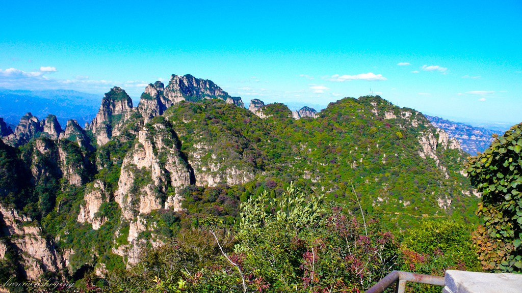 P1050594.JPG