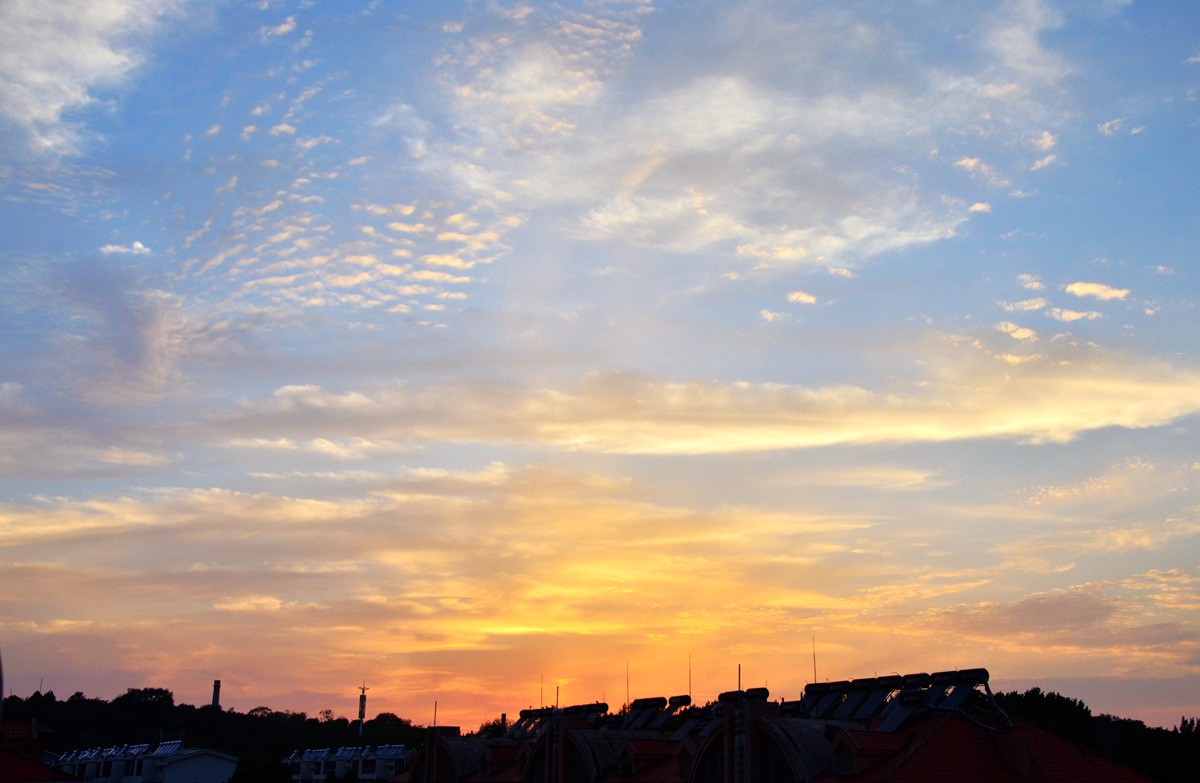 DSC_0013_副本.jpg