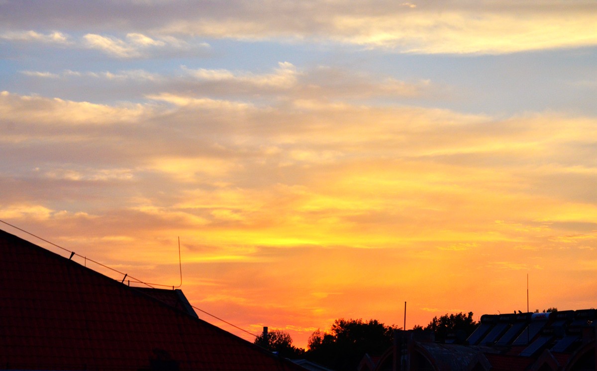 DSC_0014_副本.jpg