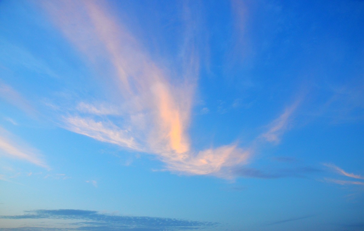 DSC_0029_副本.jpg