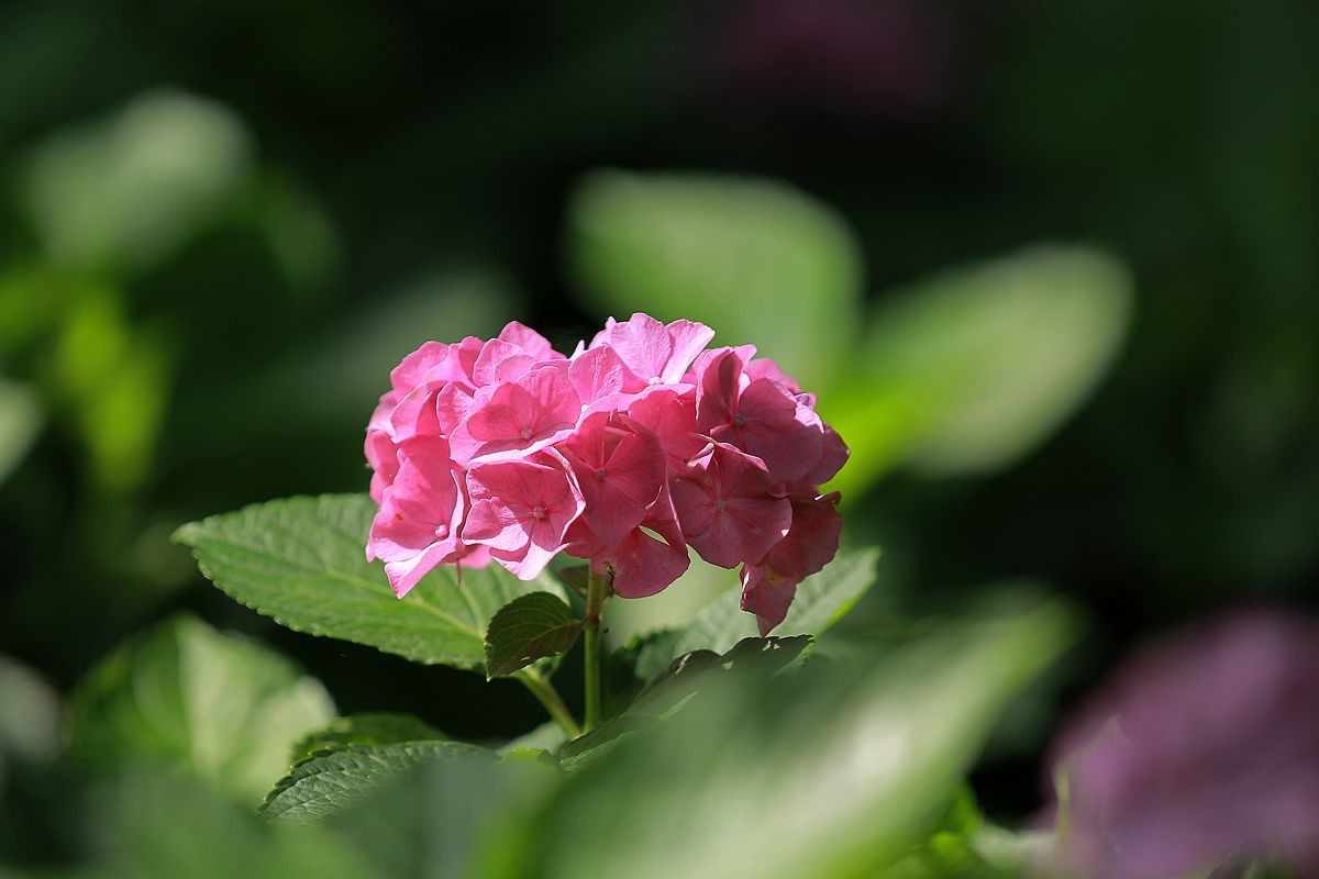 IMG_3601_副本.jpg