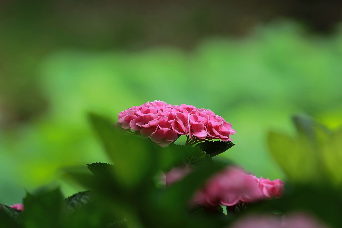 IMG_3592_副本.jpg