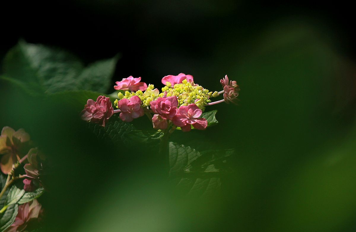 IMG_3623_副本.jpg