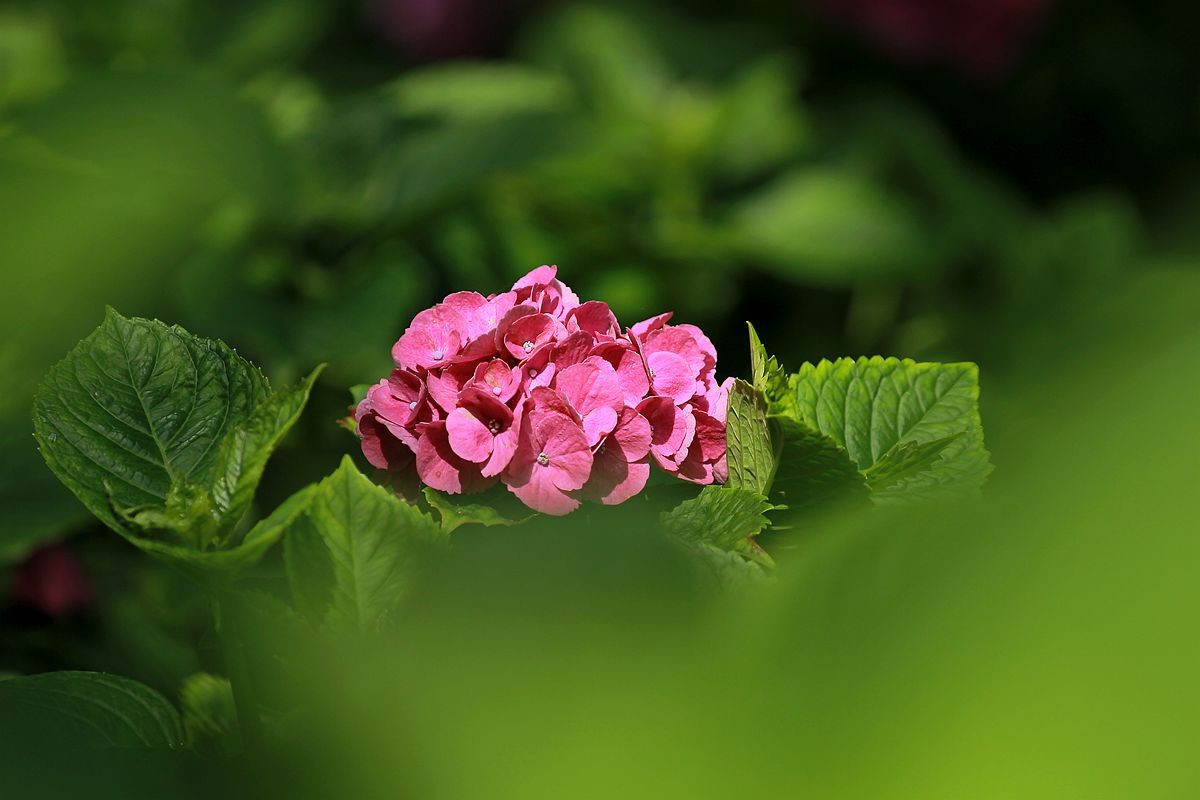 IMG_3619_副本.jpg