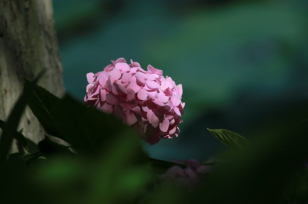 IMG_3816_副本.jpg