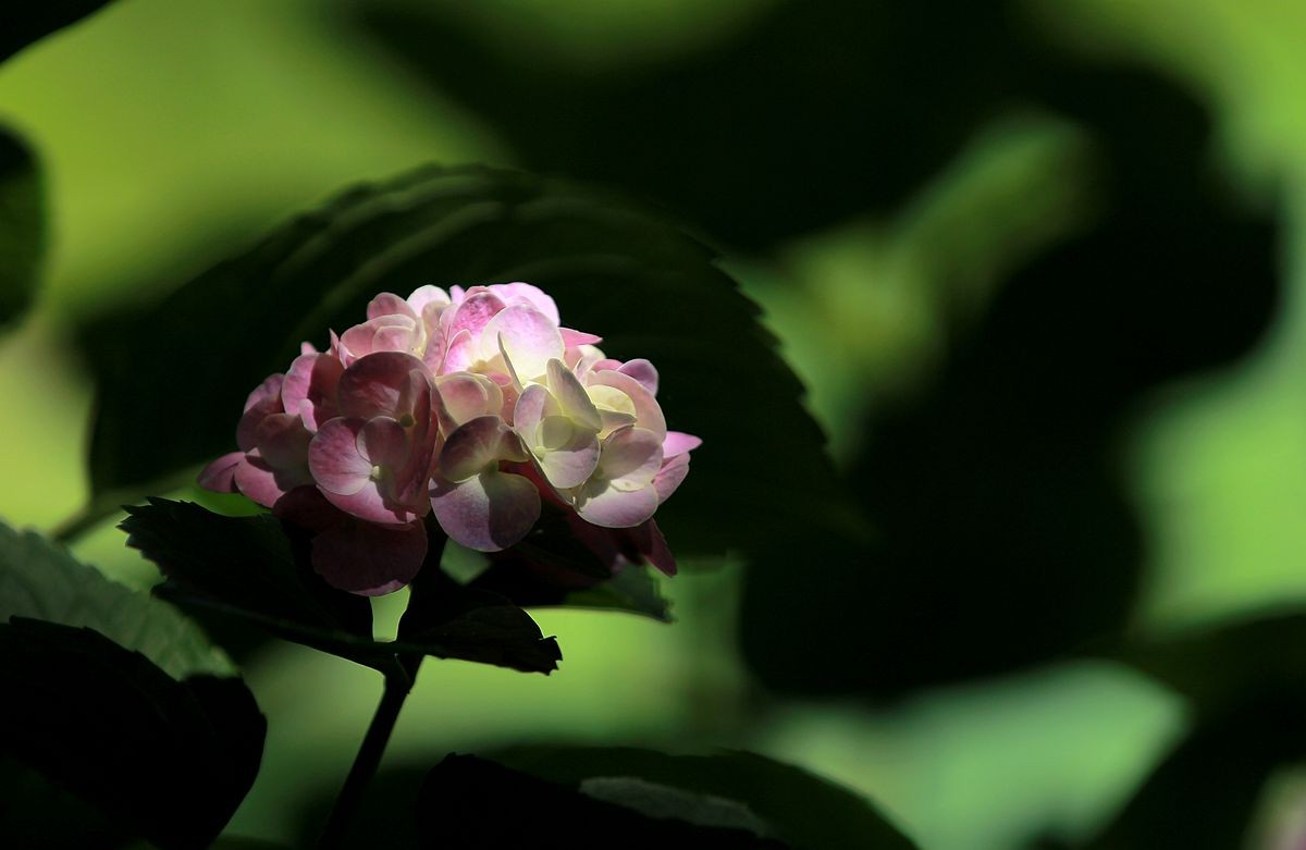 IMG_3828_副本.jpg