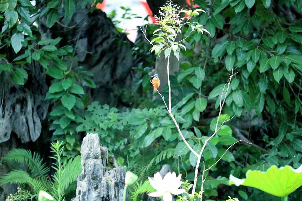 AV9I4250_副本.jpg