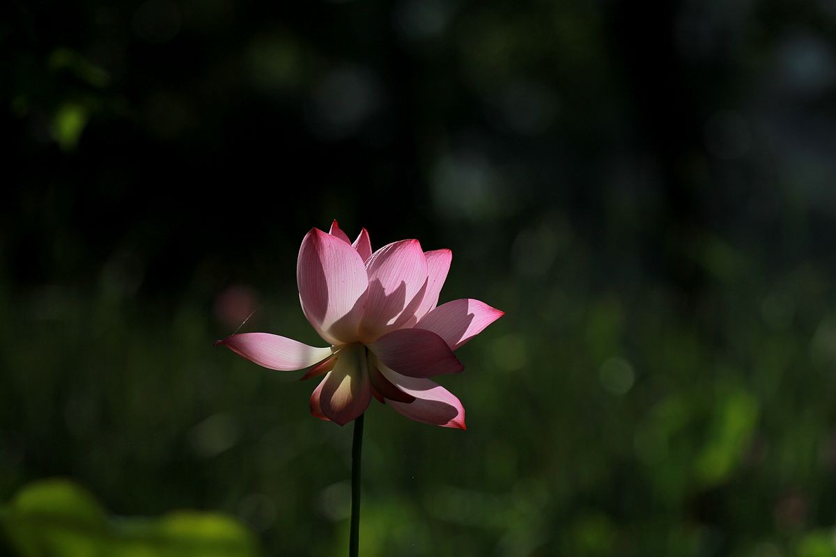 IMG_3791_副本.jpg