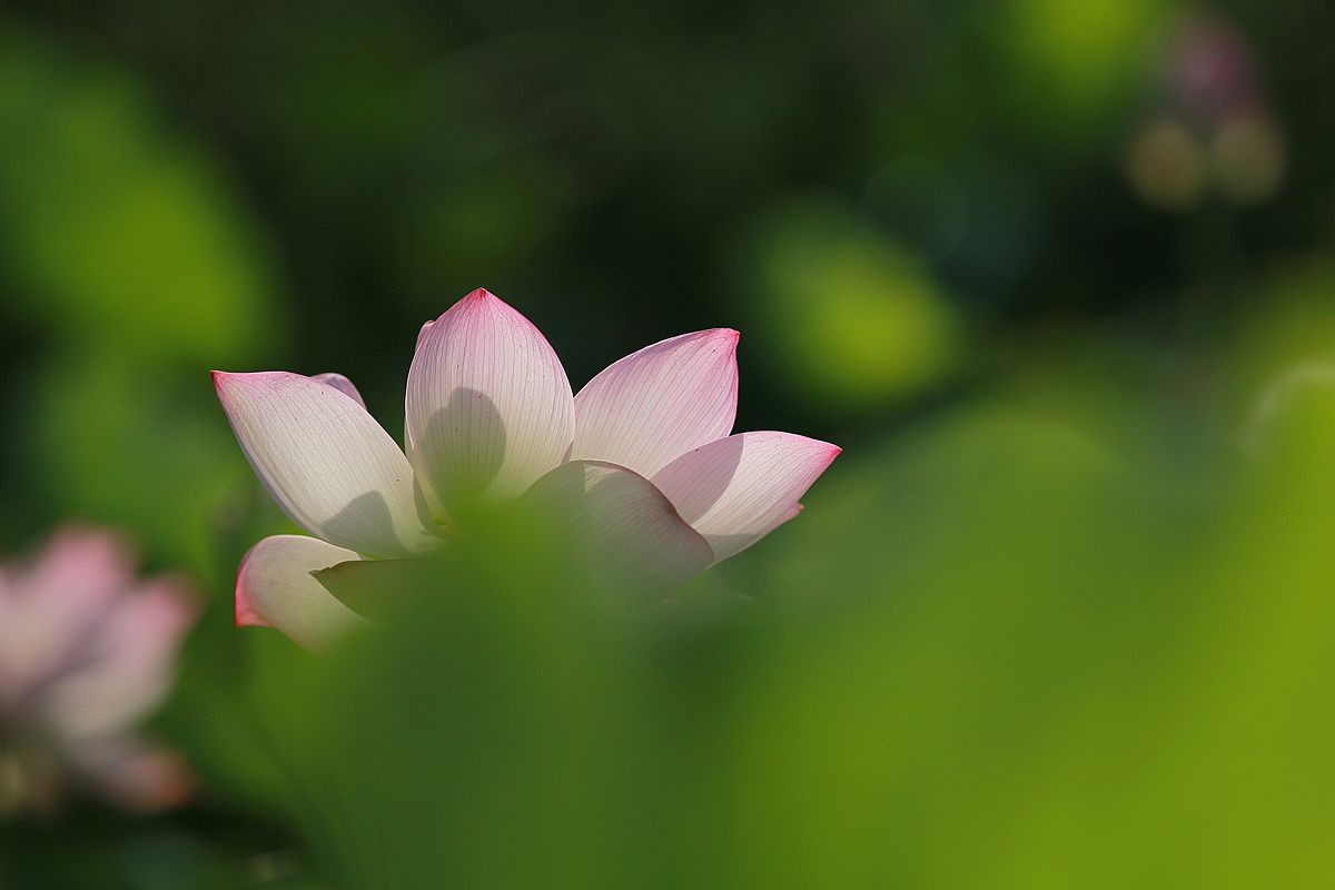 IMG_3937_副本.jpg