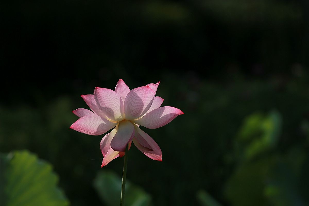 IMG_3934_副本.jpg