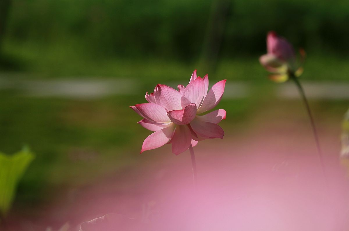IMG_4246_副本.jpg