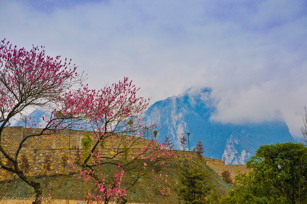 DSC_0203.JPG