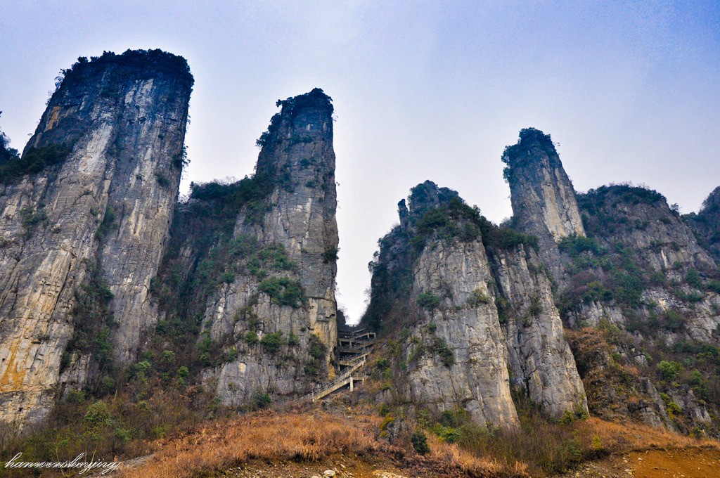 DSC_0272.JPG