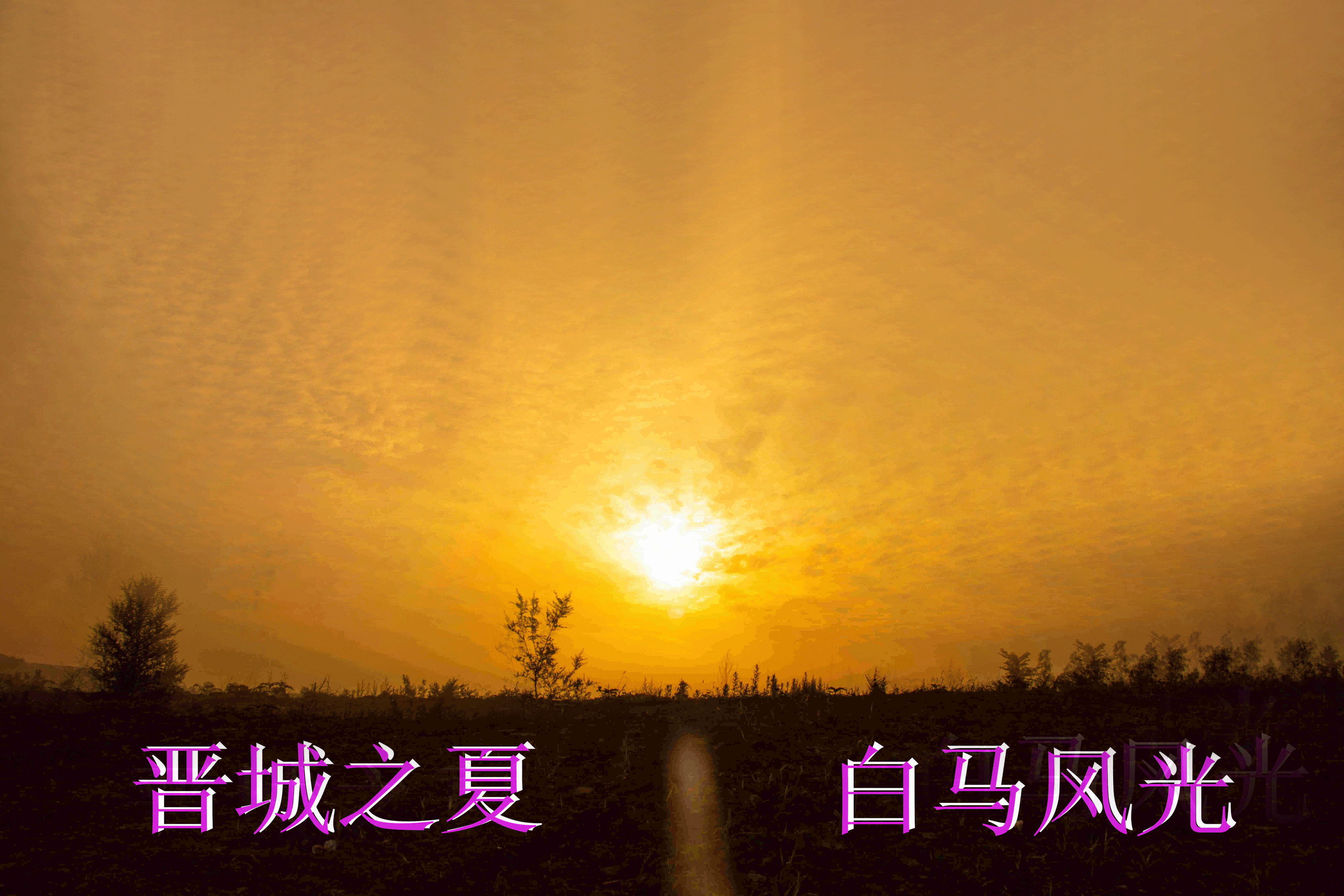 _2202265.gif
