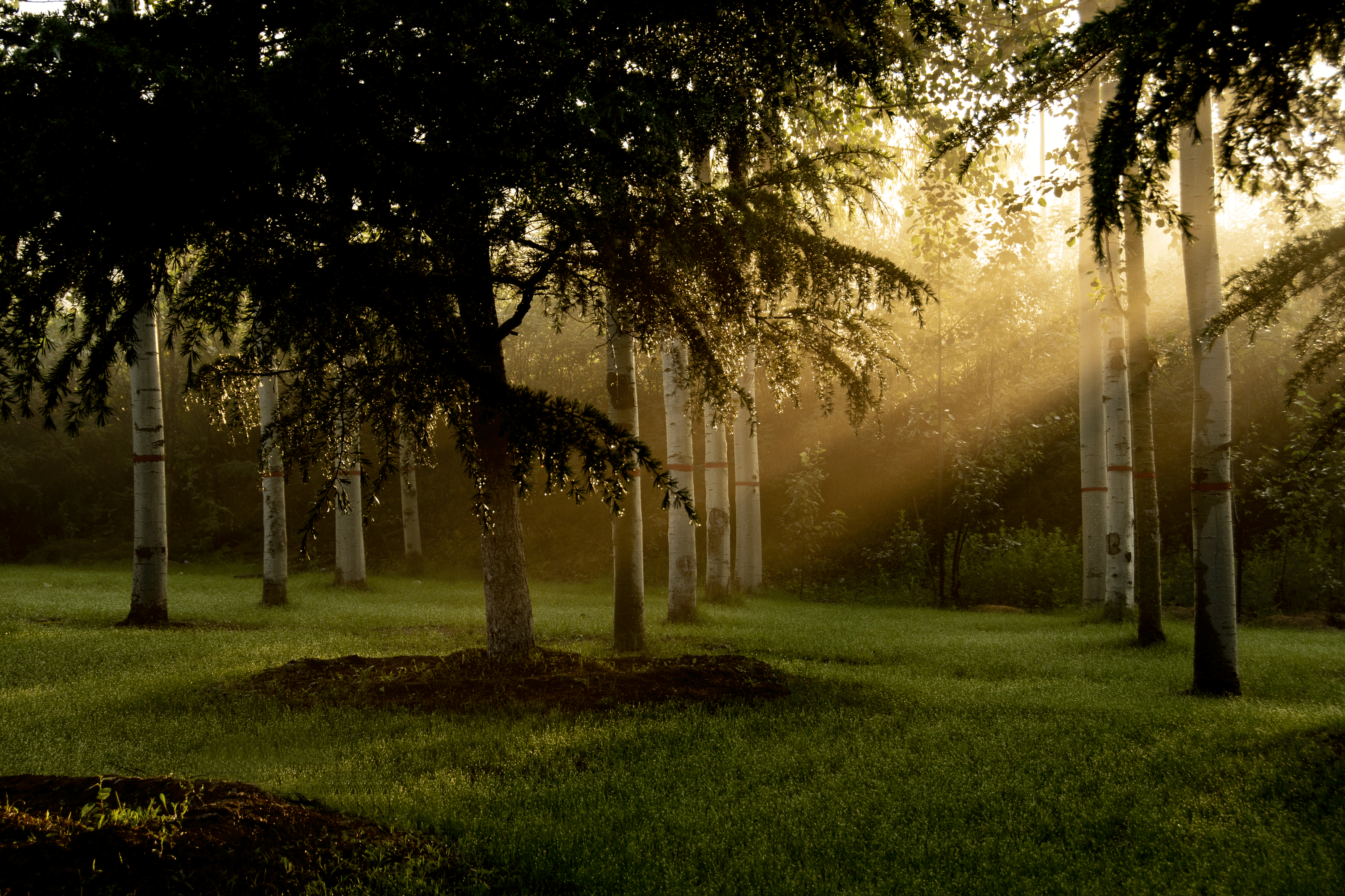 _2202593.gif