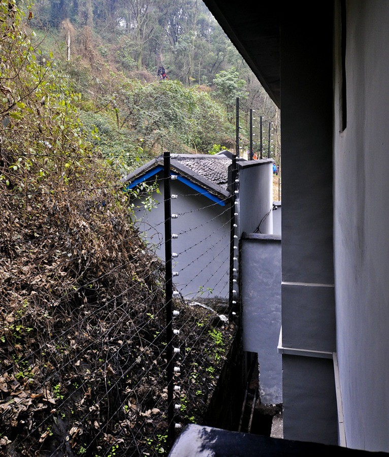 DSC_0321.JPG