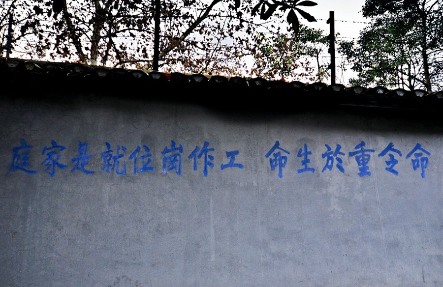 DSC_0346.JPG