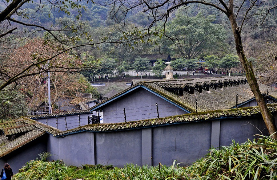 DSC_0363.JPG